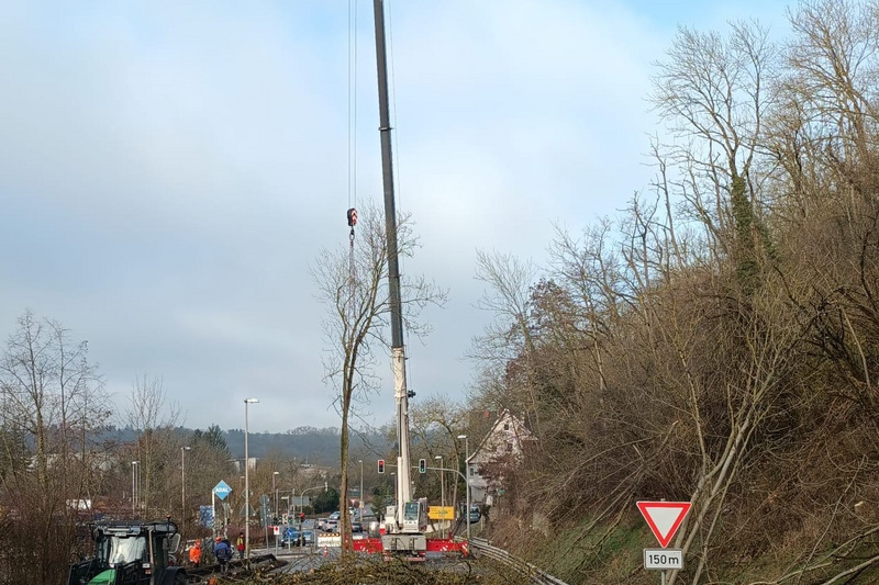 Auf der Straße wird ein Baum mit einem Kran gefällt. Ein Traktor steht in der Nähe. Im Hintergrund sind barren Bäume und ein paar Gebäude zu sehen. Die Verkehrszeichen weisen auf eine bevorstehende Gefahrenstelle hin. (Text KI generiert)